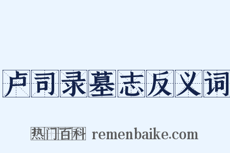 卢司录墓志反义词是什么意思的图片